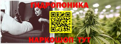 шишки Добрянка